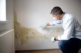 Best Mold Odor Removal Services  in Ilchester, MD